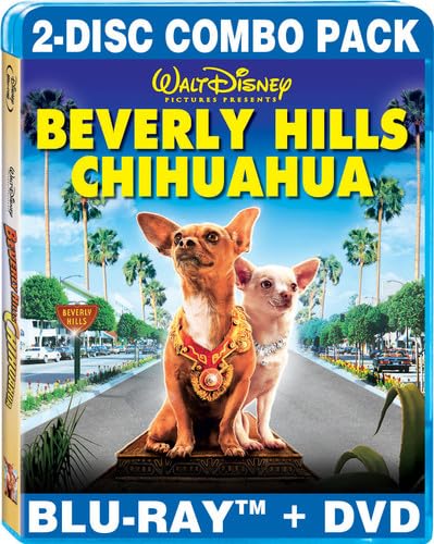 BEVERLY HILLS CHIHUAHUA 1 (2 DISC COMBO/BLU-RAY/DVD)