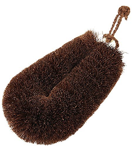 Child Narita-kun of turtle (japan import) by KAMENOKO TAWASHI