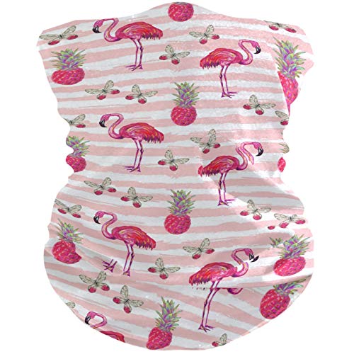 visesunny Seamless Bandana Neck Gaiter Tropical Flamingo Butterfly Headband Headwear Sports Tube UV Scarf for Workout Yoga Running Hiking Riding