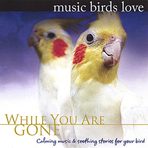 Music Birds Love: While You Are Gone (Soothing Music for Birds, Parrots, Budgerigar, Cockatoo Separation Anxiety)