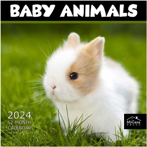 MICASA Baby Animals 2024 Hangable Monthly Wall Calendar | 12' x 24' Open | Thick & Sturdy Paper | Giftable | Kids Teen | The Cutest Calendar Ever