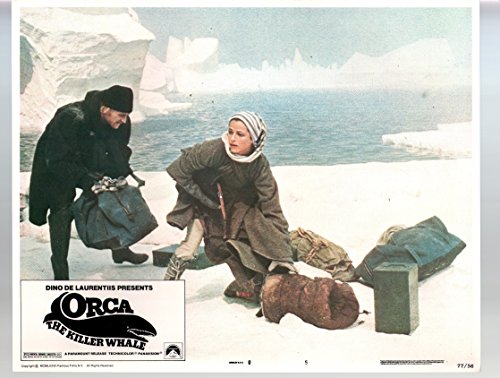 MOVIE POSTER: Orca The Killer Whale- Richard Harris-Charlotte Rampling-11x14-Color-Lobby Card