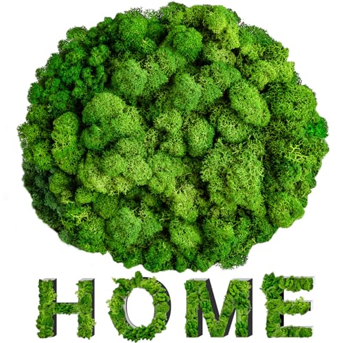 Sukh Preserved Moss - 3.5 OZ Moss for Crafts Faux Moss Decor Natural Green Moss DIY Art Wall Floral Moss Terrariums Gardenning Decor Wedding Easter Table Home Office Art Landscape Garden Decoration