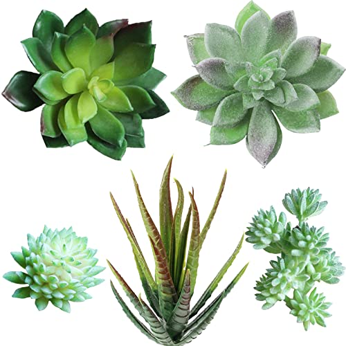 Supla 5 Pcs Assorted Artificial Succulents Plants Unpotted Small Green Cactus Echeveria Picks Fake Succulents Bulk for Succulent Garden Centerpiece Wreath Floral Arrangement Indoor Outdoor Home Décor
