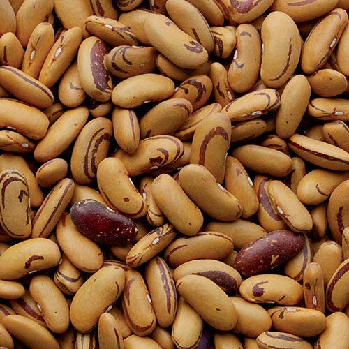 {Updated} List of Top 10 Best tigers eye bean in Detail