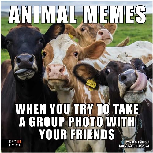 RED EMBER Funny Animal Memes 2024 Hangable Monthly Wall Calendar | 12' x 24' Open | Thick & Sturdy Paper | Kids Teen Fun Funny Cute | Giftable | Guaranteed to Make You Giggle
