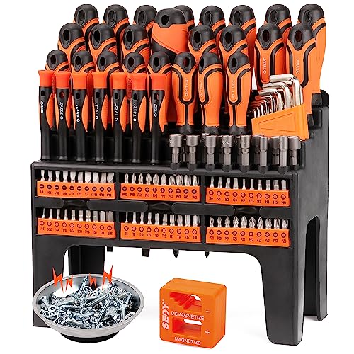 124-Piece Ultimate Screwdriver Set with Magnetic Tips & Racking, Premium Screw Driver Bits, Pricision Screwdrivers, Allen Keys, Nut Drivers and More
