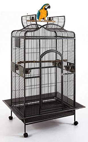 Extra Large Wrought Iron Open/Close Play Dome Top Parrot Bird Cage for Large Macaws Cockatoos African Grey Amazon (Black Vein, 35.25' W x 29.5' D x 62' H)