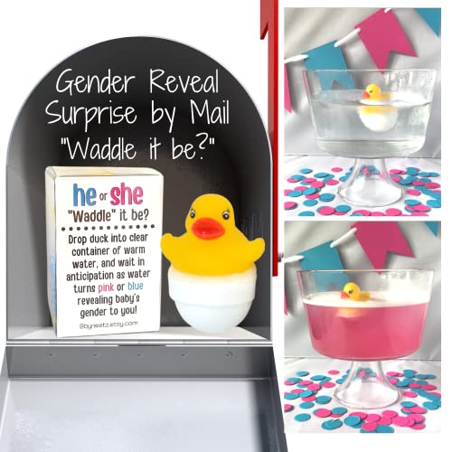 Rubber Duck Gender Reveal Fizzes by mail | Pregnancy Announcement | Gift Box includes Customized Message | for Out Of Town Family and Friends (Waddle It Be?)