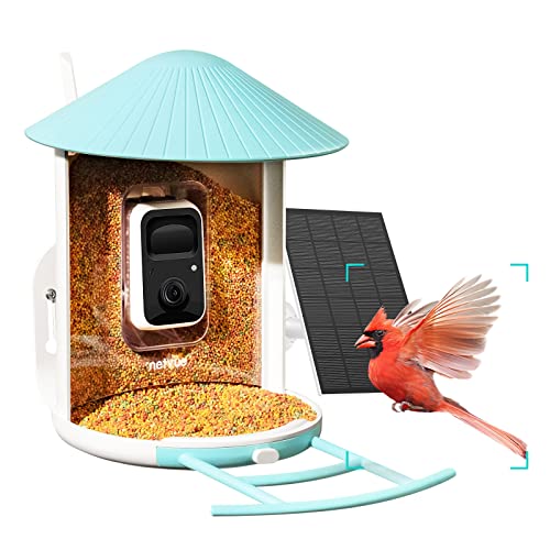 NETVUE Birdfy Lite - Smart Bird Feeder with Camera Solar Powered, Bird Watching Camera Wireless, Auto Capture Bird Videos & Motion Detection, Ideal Gift for Christmas