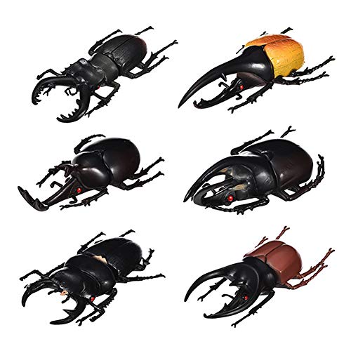 DOYIFun Pack of 6 Lifelike Beetle Model Toys, Fake Realistic Insect Figures Collection Playset Science Educational Learning Toys for Kids Toddlers Halloween Party Favors(5.5inch)