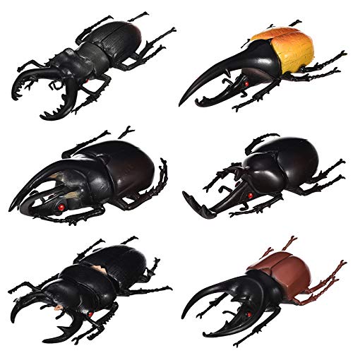Hiawbon 5.5 inch Fake Beetle Simulated Beetle Model Realistic Plastic Beetle Figures for Fairy Garden Decoration, Set of 6