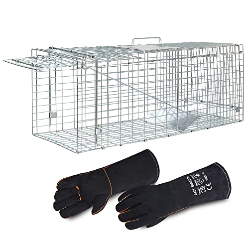 ANT MARCH Live Animal Cage Trap with Gloves 37'x13.5'x14.5' Large Steel Humane Release Rodent Cage for Rabbits, Stray Cat, Squirrel, Raccoon, Mole, Gopher, Opossum, Skunk, Chipmunks, Groundhog Squire