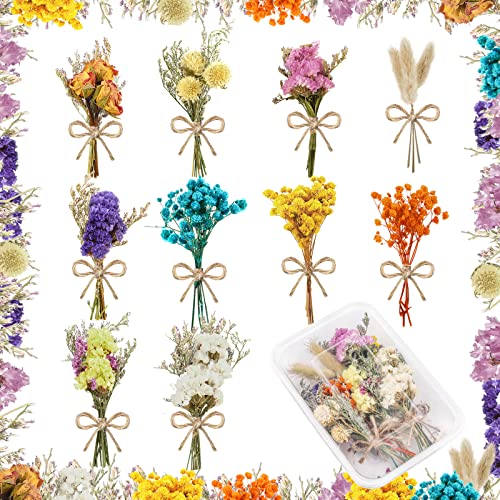 10 Pcs Mini Dried Flowers Natural Gypsophila Dried Flowers Bouquet of Flowers Natural Flower Bouquets Flower Plant Stem Bunch for DIY Craft Card Home Party Photo Props Wedding Decor(Fresh Style)