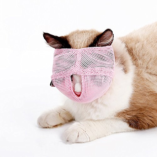 {Updated} List of Top 10 Best air muzzle for cats in Detail