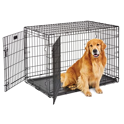 MidWest Homes for Pets Large Dog Crate | MidWest Life Stages Double Door Folding Metal Crate | Divider Panel, Floor Protecting Feet, Leak-Proof Pan | 42L x 28W x 30H Inches For Large Dog Breed