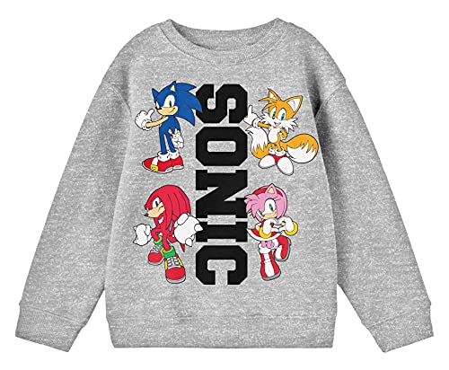 Youth Boys Sonic the Hedgehog Characters & Text Heather Grey Sweatshirt - XS