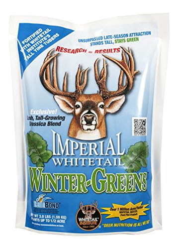 Whitetail Institute Winter-Greens Deer Food Plot Seed for Fall Planting, Annual Brassica Blend to Attract Deer in The Early and Late Season, Very Cold and Drought Tolerant, 3 lbs (.5 acres)