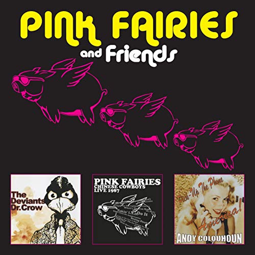Pink Fairies & Friends
