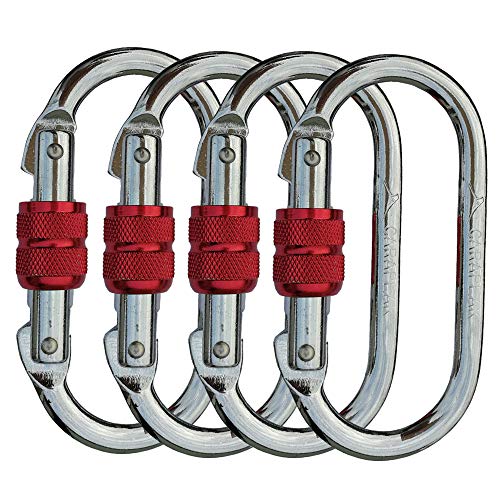 {Updated} Top 10 Best oval carabiner {Guide & Reviews}