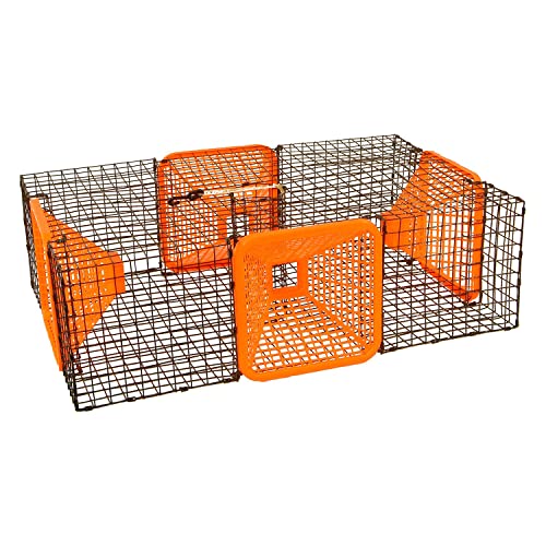 Protoco - ST30S - 19” x 30” (1” x 1” Mesh) Shrimp and Crawfish Trap, Freshwater & Saltwater Cage Style Fishing Trap for Shrimp, Crawfish, Crayfish, Crawdads - Black/Orange