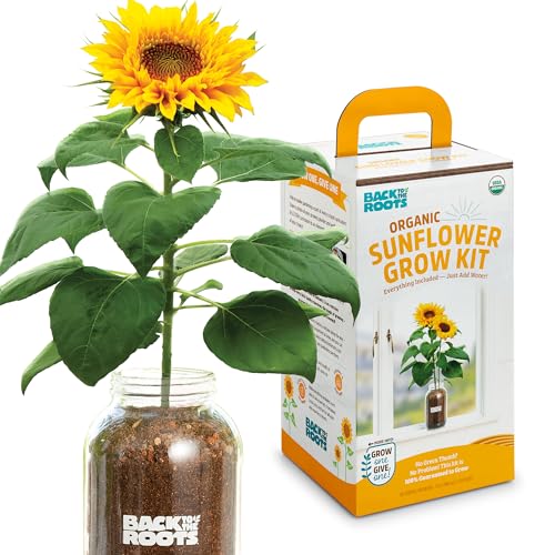 Back to the Roots Sunflower Organic Windowsill Planter Kit - Grows Year Round, Includes Everything Needed for Planting