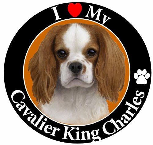 'I Love My King Charles Cavalier' Car Magnet With Realistic Looking King Charles Cavalier Photograph In The Center Covered In UV Gloss For Weather and Fading Protection Circle Shaped Magnet, 5.25' D
