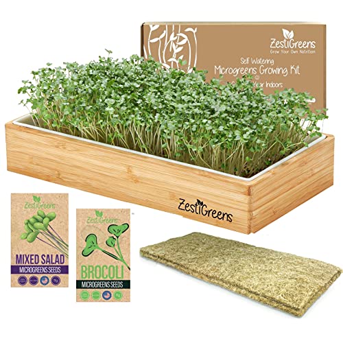 Microgreens Growing Kit Self Watering - Healthy Gift with Microgreens Tray, Seeds, Mats, and Bamboo Surround. No Soil Needed. Easy Setup. Sprouting Kit with One-Time Watering. (Salad & Broccoli)