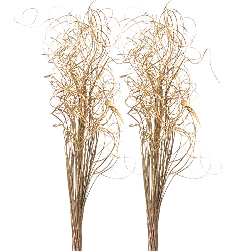 Royal Imports Sparkle Glitter Curly Ting Ting Branches Vase Filler for Wedding, Holiday & Home Decoration, 26”, 75 Stems (Gold)