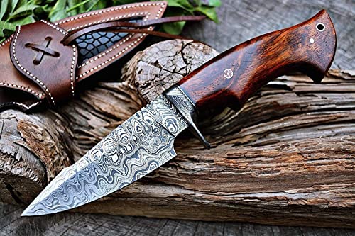 BIGCAT ROAR 10″ Handmade Damascus Hunting Knife with Leather Sheath - Ideal for Skinning, Camping, Outdoor - EDC Fixed Blade Bushcraft Knife with Walnut Wood Handle - Predator Hunter