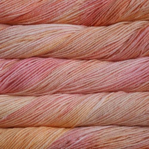 Malabrigo Rios Yarn (695 - Peachy)