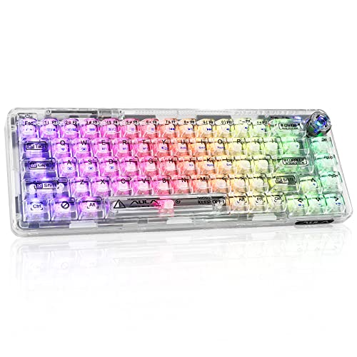 CHICHEN 60% Portable Mechanical Gaming Keyboard,Hot-swappable RGB Backlit Compact 68 Clear Keycaps,2.4Ghz Wireless/Bluetooth/USB-C,Transparent Gasket Ice Crystal Switch (Transparent White)