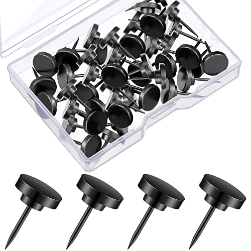 30 Pieces Push Pins, Metal Thumb Tacks for Picture Photo Hanging, Wall Pins for Board Posters Bulletin Maps, Wall Tack for Office Home Decorative (Black)
