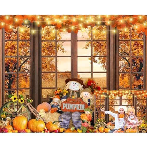 Fall Thanksgiving Backdrops for Photography Pumpkin Fall Window Photo Backdrop Scarecrow Maple Leaves Background Autumn Harvest Party Decorations Background Baby Shower Party Banner Photo Props 10x8ft