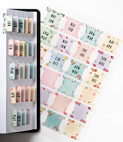 DiverseBee Laminated Planner Monthly Tabs, 24 Peel and Stick Tabs for Notebooks (12 Month Tabs and 12 Blank Tabs), Calendar Monthly Tab Stickers/Dividers (Assorted), Medium