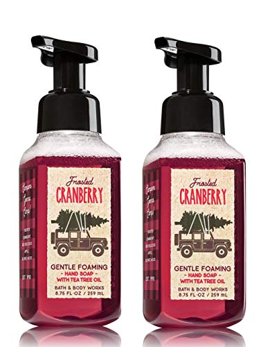 Bath & Body Works Frosted Cranberry Hand Soap - Pack of 2 Frosted Cranberry Gentle Foaming Holiday Hand Soaps