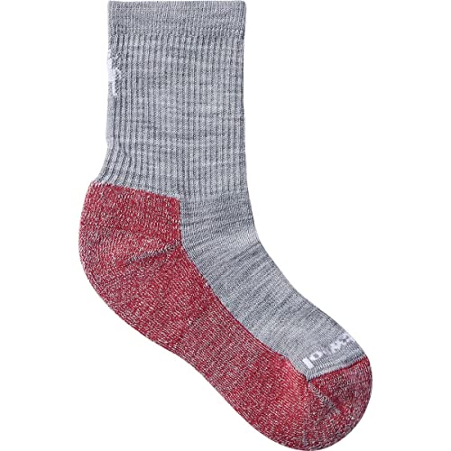 Smartwool SW001691039L Kids' Hike Light Cushion Crew Socks Light Gray L