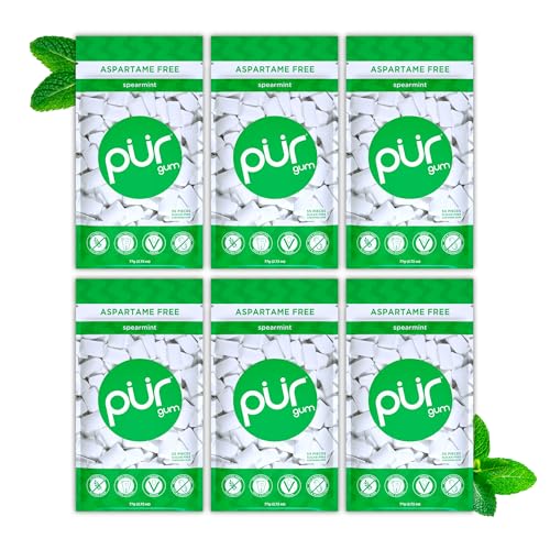 PUR Gum | Aspartame Free Chewing Gum | 100% Xylitol | Natural Spearmint Flavored Gum, 55 Pieces (Pack of 6)
