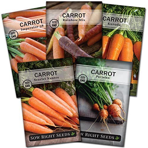 Sow Right Seeds - Carrot Seed Collection for Planting - Rainbow, Nantes, Imperator, Parisian, and Kuroda Varieties - Non-GMO Heirloom Seeds to Plant a Home Vegetable Garden - Great Gardening Gift