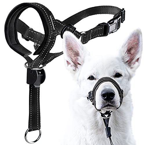 GoodBoy Dog Head Halter with Safety Strap - Stops Heavy Pulling On The Leash - Padded Headcollar for Small Medium and Large Dog Sizes - Head Collar Training Guide Included (Size 2, Black)