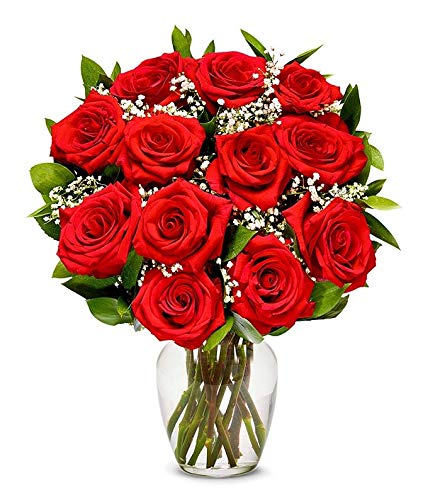 From You Flowers - One Dozen Long Stemmed Red Roses with Free Vase (Fresh Flowers) Birthday, Anniversary, Get Well, Sympathy, Congratulations, Thank You