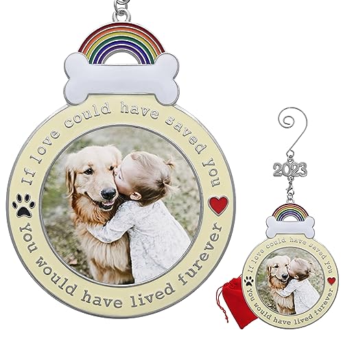 Dog Memorial 2023 Keepsake Photo Ornament - If Love Could Have Saved You - Paw Prints and Heart Design - Loss of Pet Gifts - Gift/Storage Bag Included