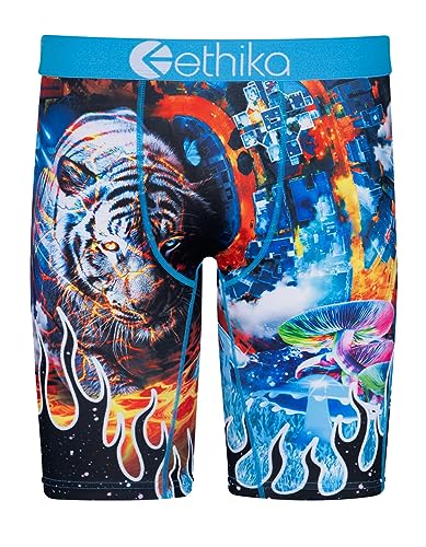 Ethika Boys Staple Boxer Brief | WTE (BKB, Large)
