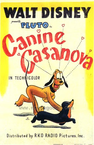Canine Casanova Poster Movie 27x40