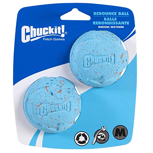 Chuckit! Medium Rebounce Ball 2.5', 2 Pack, Blues & Purples (20320)