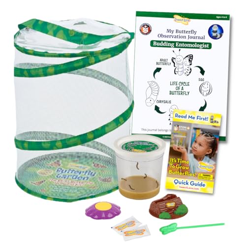 Insect Lore Butterfly Garden | Butterfly Kit with Live Caterpillars | 5 Caterpillars, Reusable Habitat, STEM Butterfly Journal & More