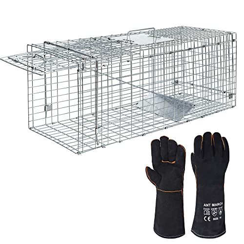ANT MARCH Live Animal Cage Trap 32'x11.5'x13' Steel Humane Release Rodent Cage for Rabbits, Stray Cat, Squirrel, Raccoon, Mole, Gopher, Chicken, Opossum, Skunk, Chipmunks, Groundhog