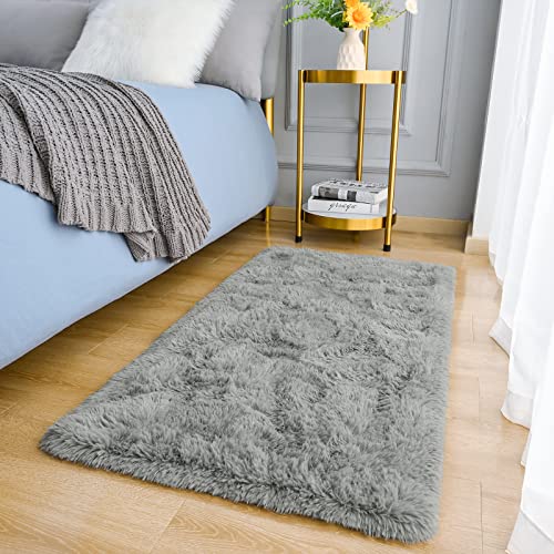 Amearea Shag Small Rug, Fluffy 2x4 Feet Throw Rugs for Bedroom Girls Living Room, Extra Soft and Fuzzy Shaggy Carpet, Non Slip, Solid Color Nursery Home Floor Decor Carpets, Grey