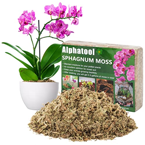 22QT Orchid Sphagnum Moss, Dried Peat Moss for Potted Plants Mix Soil, Compressed Forest Sphagnum Moss for Orchids Venus Fly Trap Pitcher Plant Reptiles DIY Moss Terrarium Decorations (10 OZ)