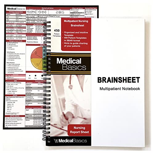 Nursing Brain Sheet Multiple Patient Notebook - Nurse and CNA Report Sheet - 3 Patients per Template